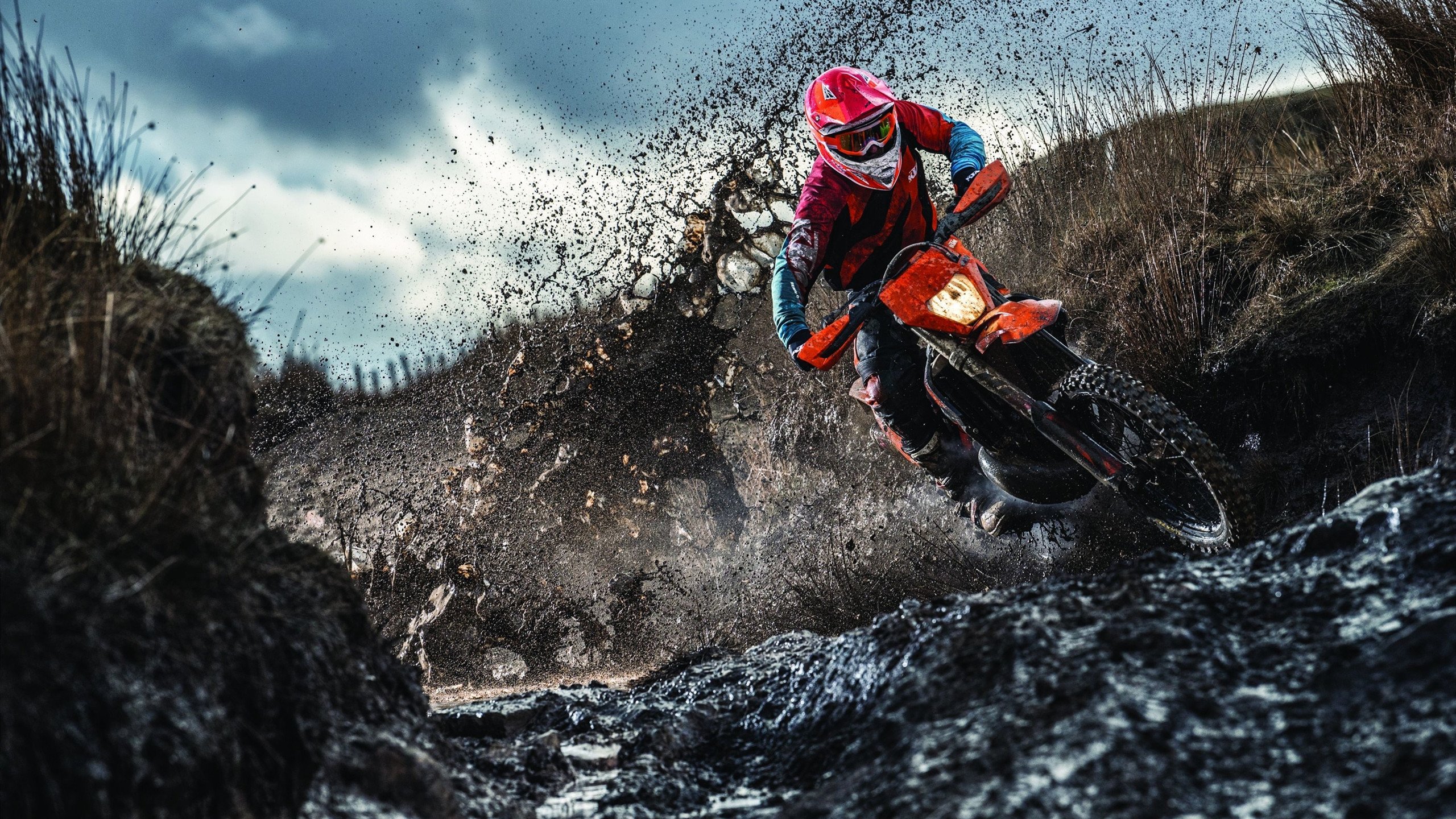 世界杯2026-哈利伯顿攻防统治，当爵士遇上雄鹿，篮球智慧如何撕裂肌肉森林？